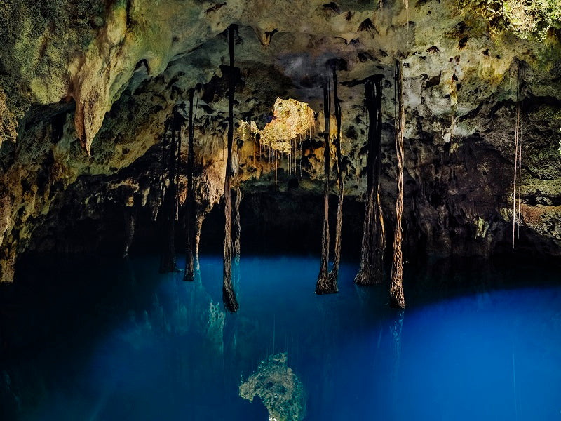 XENOTES CANCUN