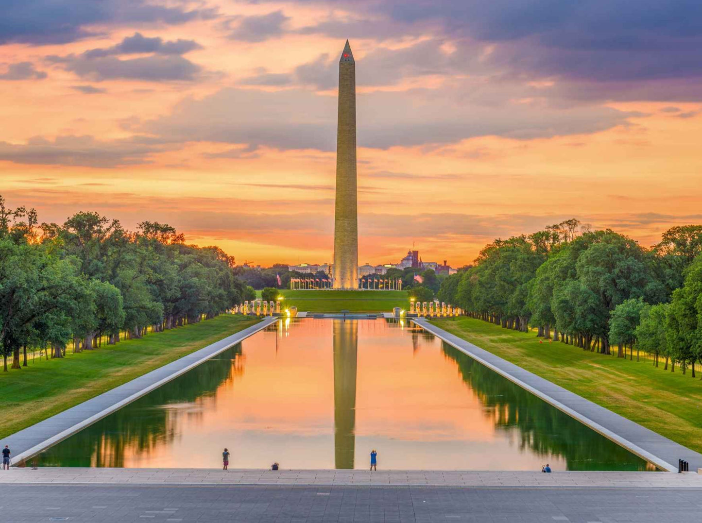 EXCURSIONES VIP NUEVA YORK A WASHINGTON