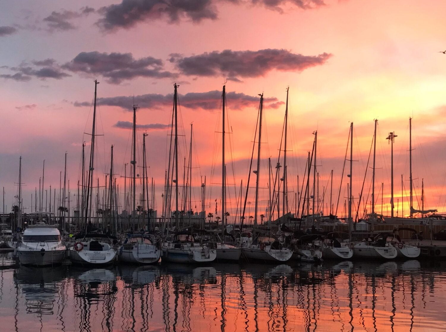 AMANECER EN VELERO