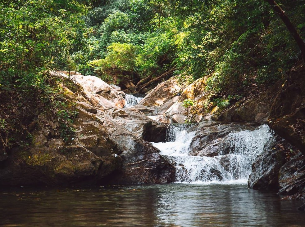 TOUR MINCA Y TAGANGA SANTA MARTA