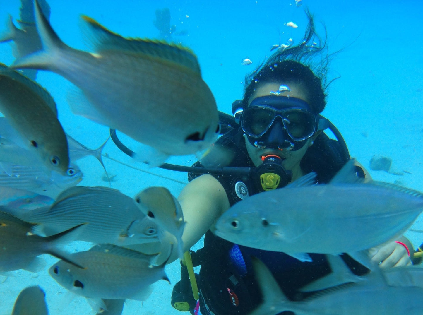 MINICURSO DE BUCEO SAN ANDRES