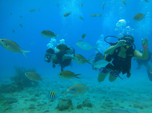 MINICURSO DE BUCEO SAN ANDRES