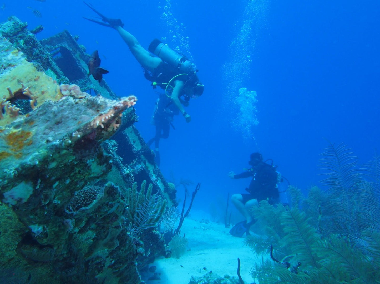 MINICURSO DE BUCEO SAN ANDRES