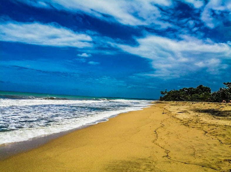 TOUR PALOMINO DESDE SANTA MARTA