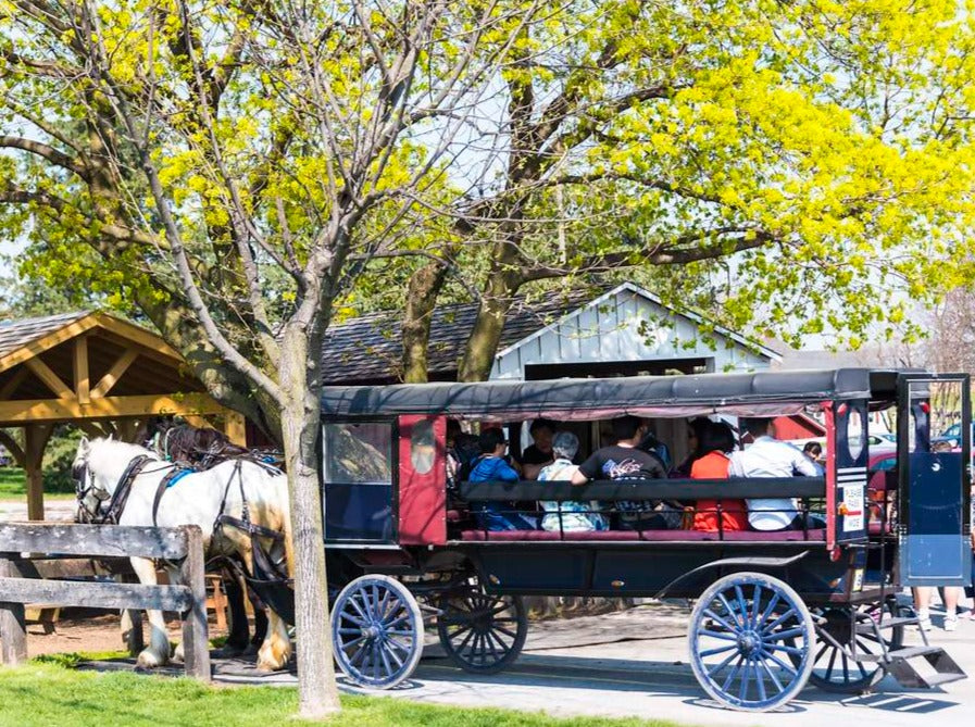 TOUR FILADELFIA Y COMUNIDAD AMISH