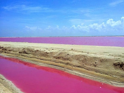 RIO LAGARTOS - COLORADAS CANCUN