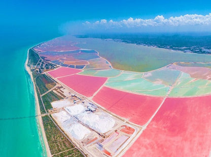 RIO LAGARTOS - COLORADAS CANCUN