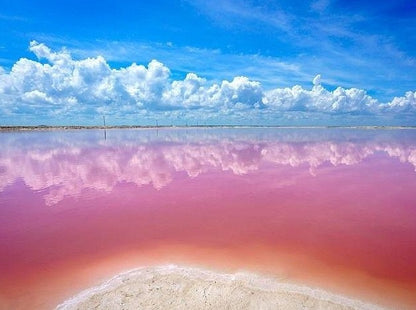 RIO LAGARTOS - COLORADAS CANCUN