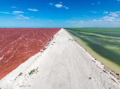 RIO LAGARTOS - COLORADAS CANCUN