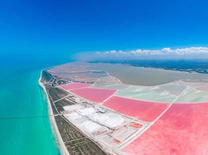 RIO LAGARTOS - COLORADAS CANCUN