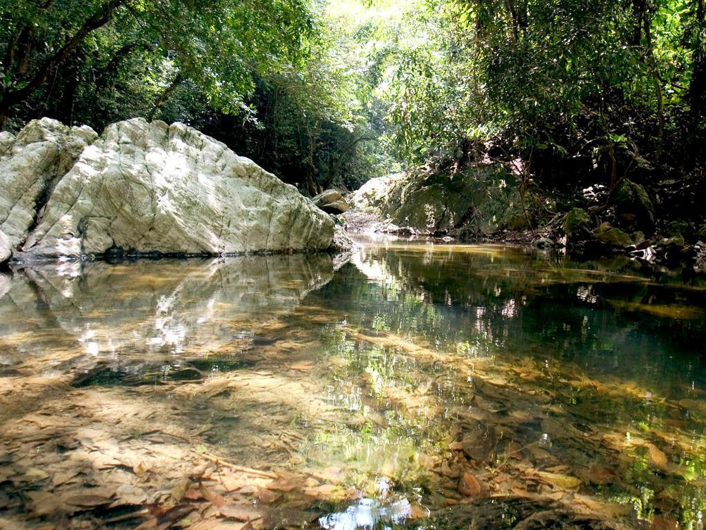 QUEBRADA VALENCIA Y BURITACA