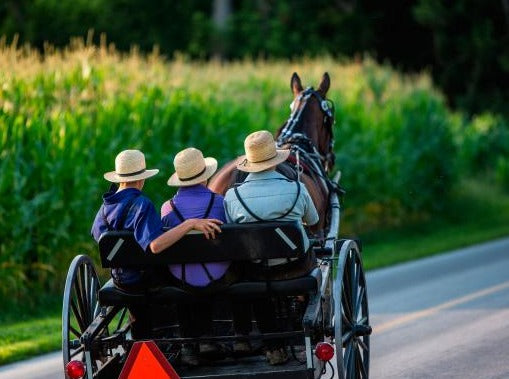 TOUR FILADELFIA Y COMUNIDAD AMISH