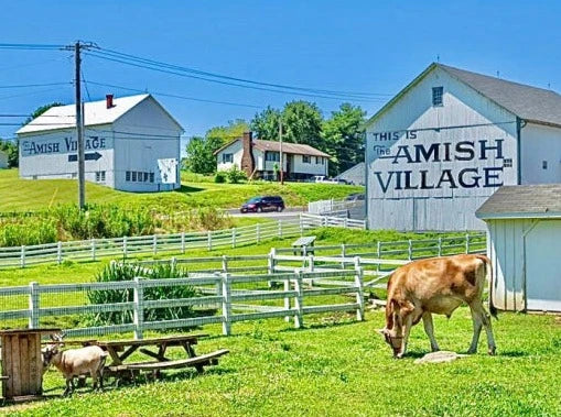 TOUR FILADELFIA Y COMUNIDAD AMISH