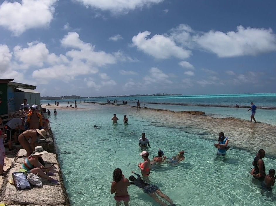 ACUARIO JOHNNY CAY