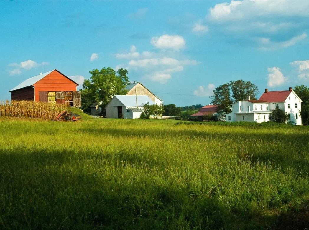 TOUR FILADELFIA Y COMUNIDAD AMISH